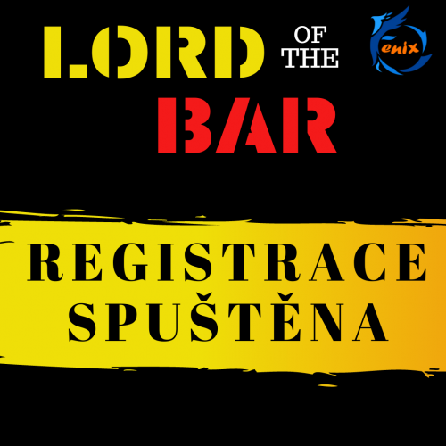 LORD of the BAR Street Workout Parks