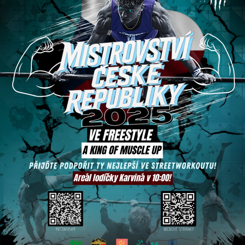 MČR 2025 FREESTYLE A KING OF MUSCLE UP Street Workout Parks